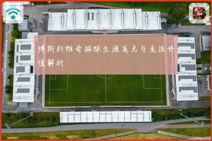 博斯科维奇排球生涯高光与竞技价值解析