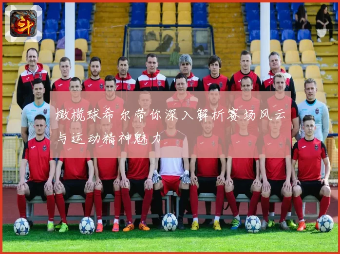 橄榄球希尔带你深入解析赛场风云与运动精神魅力