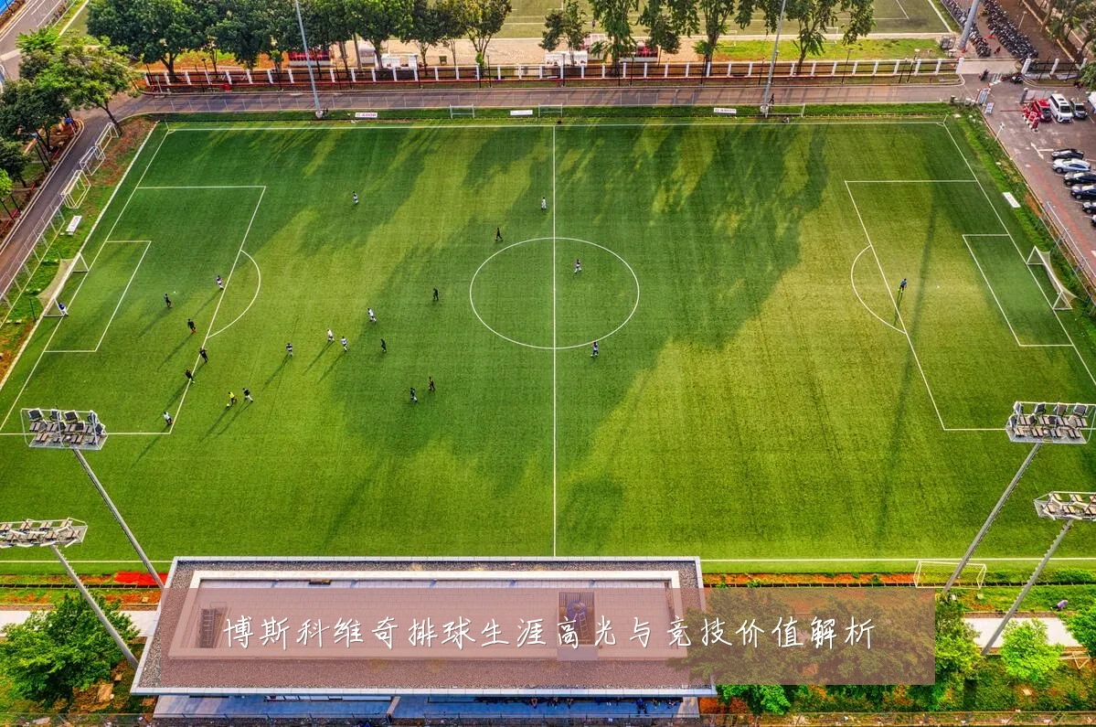 博斯科维奇排球生涯高光与竞技价值解析